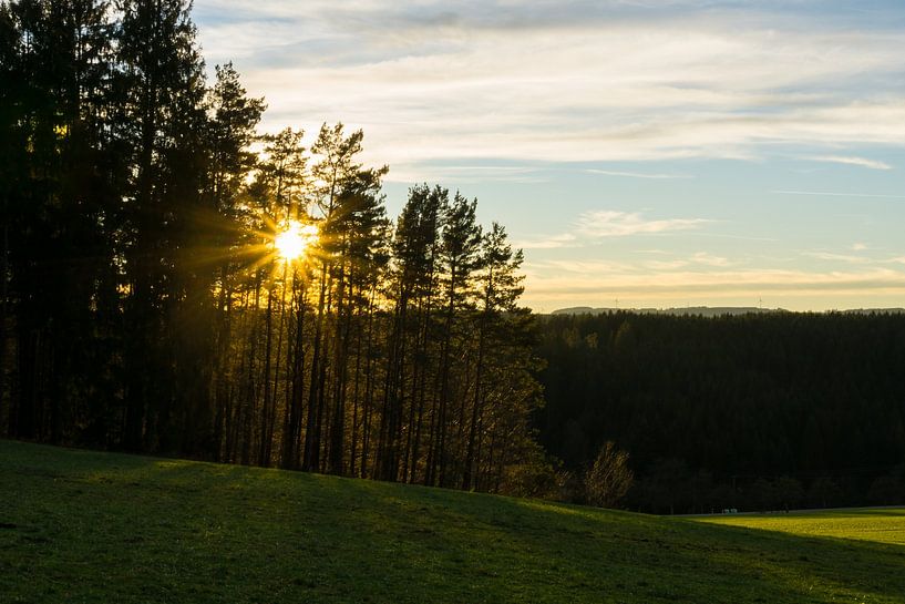 Germany, Sunrays of sunset between trees of black forest by adventure-photos