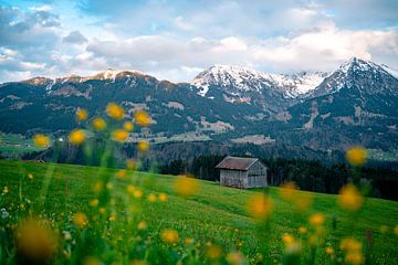 Malerischer Ausblick auf das frühlingshafte Allgäu und seine Berge von Leo Schindzielorz