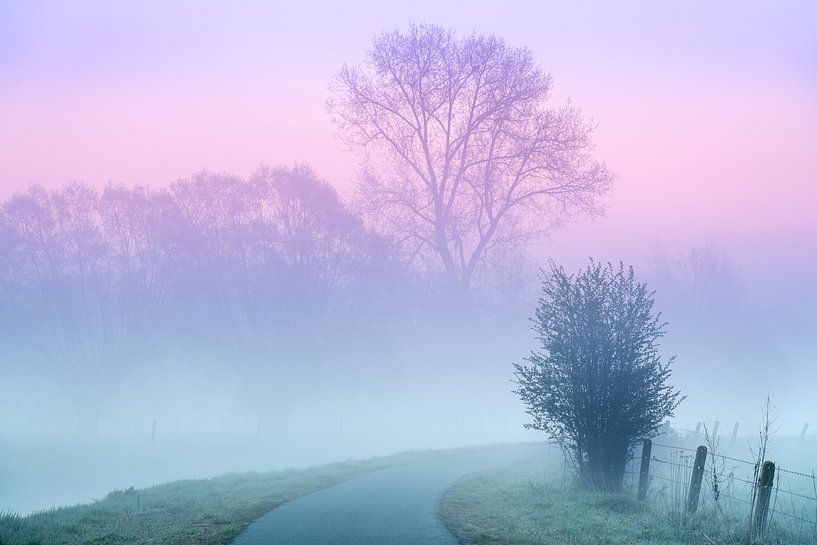 At the Dender in Idegem on a misty morning by Marcel Derweduwen