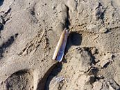 Scheermes op strand van Angelique Roelofs thumbnail