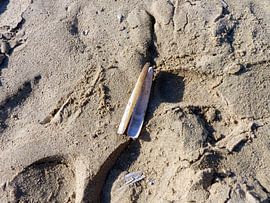 Scheermes op strand by Angelique Roelofs