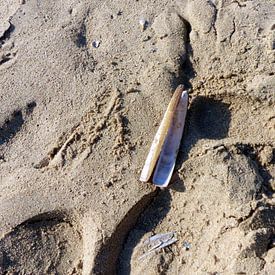 Scheermes op strand van Angelique Roelofs