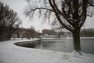un étang en hiver avec des arbres et de la neige par ChrisWillemsen Aperçu
