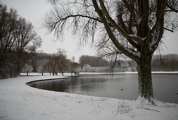 een vijver in de winter met bomen en sneeuw