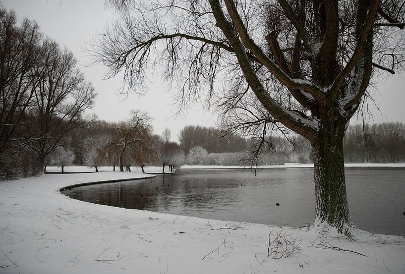 un étang en hiver avec des arbres et de la neige par ChrisWillemsen