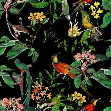 Kolibries Tropische Tuin van Andrea Haase
