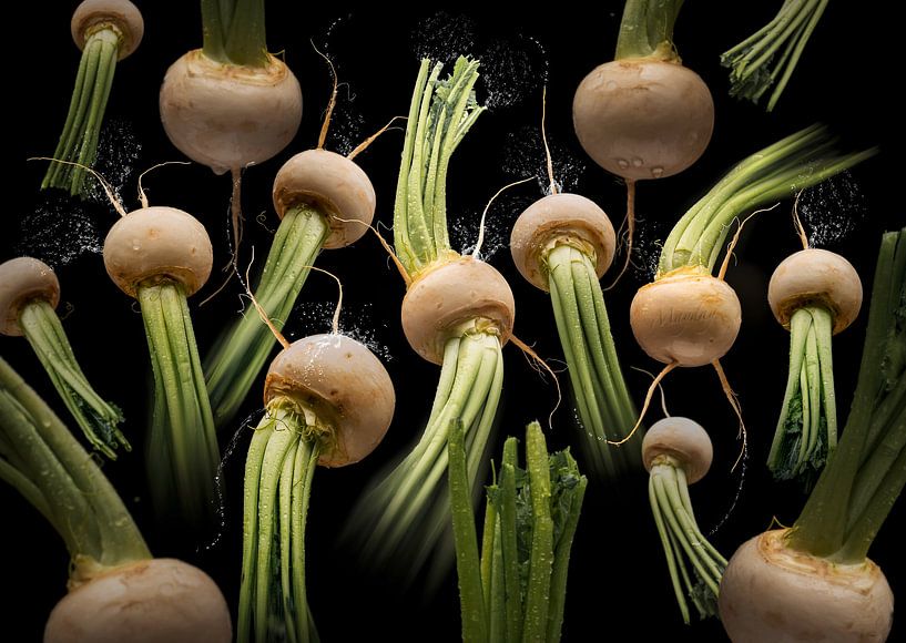 Brassica rapa (Mairübe) von Olaf Bruhn