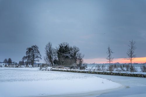 Polderlandschap tijdens zonsopgang besneeuwd!