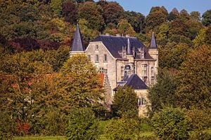 Schloss Schaloen