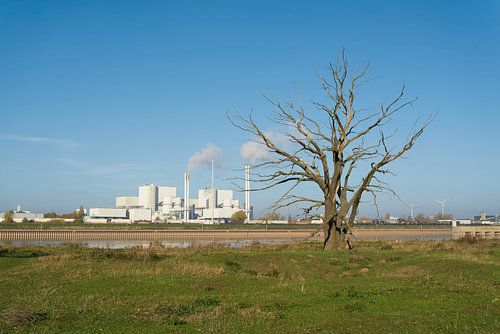 Industrie et nature détruite