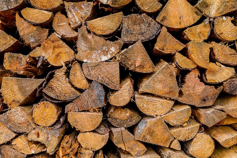 Perfekt gestapeltes Brennholz aus dem Blansker Wald von Nicolette Suijkerbuijk