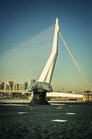 Erasmusbrug Rotterdam