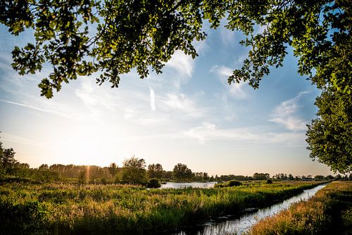 Goudse Hout // Gouda, Netherlands