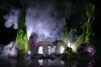 Gemüse im Nebel