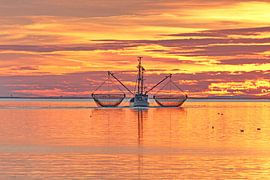 Kotter op het wad by Pier de Haan
