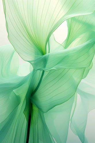 Bloemendans Botanica