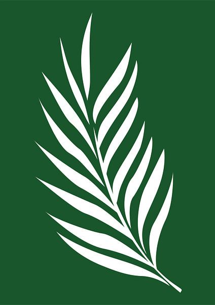 Minimalistische Natuur &amp; Abstracte Illustratie Collectie van saken