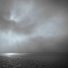 Wadden Sea by Heiko Harders