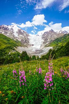 Vue sur les glaciers et les montagnes géorgiennes sur Leo Schindzielorz