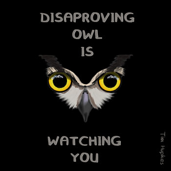 Disapproving Owl (Black)