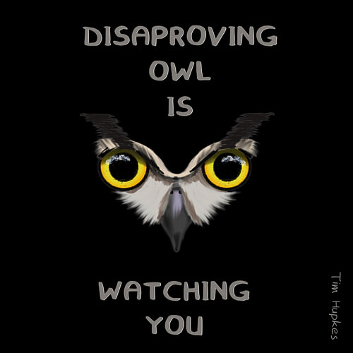 Disapproving Owl (Black)
