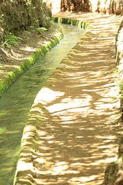 Levada-Wanderweg von Photo Pim