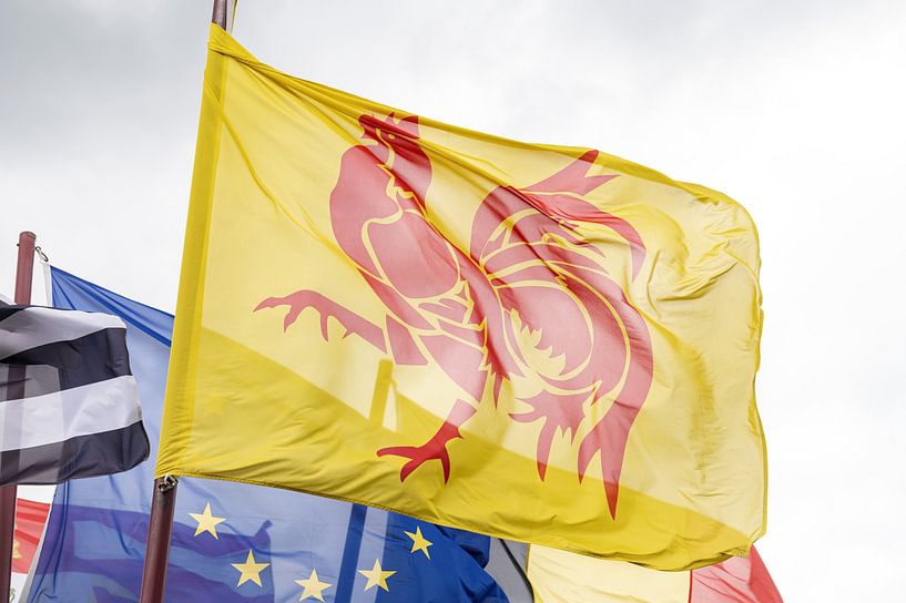 Wollonie flag by Richard Wareham