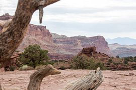 Landschap, ingelijst door oude boomstam by De wereld door de ogen van Hictures