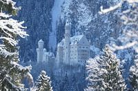 Neuschwanstein Castle