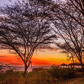 Zonsondergang in de Serengeti von René Holtslag