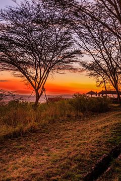 Zonsondergang in de Serengeti van René Holtslag