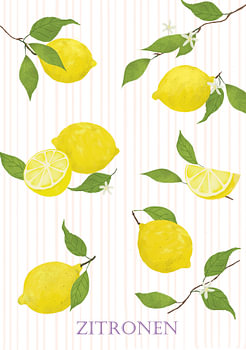 L'univers des agrumes du Sud - Les citrons