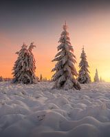 Belgie Winterland