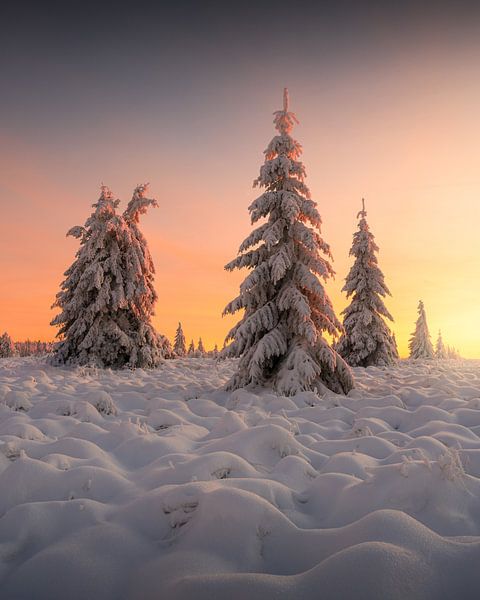 Belgie Winterland van Erel Turkay
