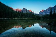 smooth reflection in the lake with alpenglow at Lake O'Hara in Yoho National Park, British Columbia, by Leo Schindzielorz thumbnail