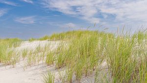 Dune de Borkum