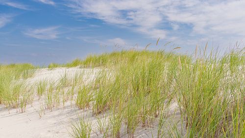 Dune de Borkum
