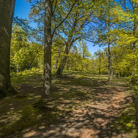 Stania State Panorama (bij Oenkerk) sur Tieme Snijders