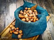 Nuts by Astrid Kleijn thumbnail