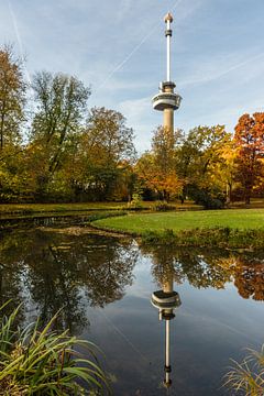 Autumn tones and Euromast reflected in the water by Tony Buijse