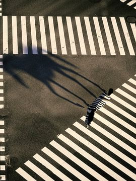 Crossing van Arjen Roos