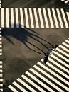 Crossing van Arjen Roos thumbnail