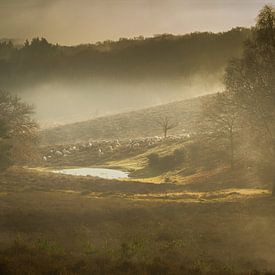 Magic van John Goossens Photography