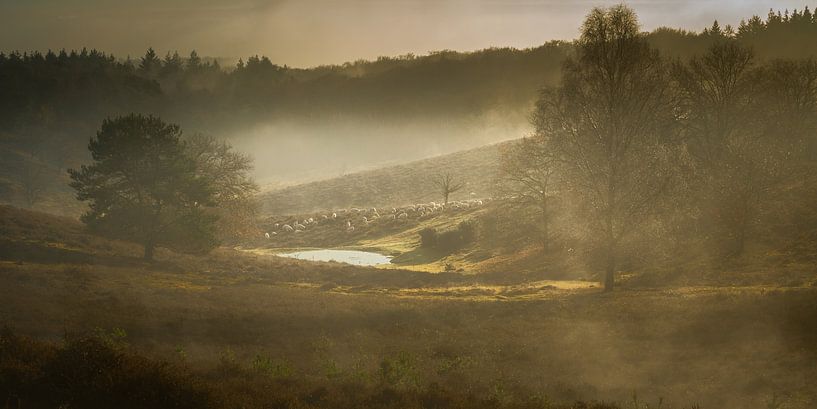 Magic by John Goossens Photography