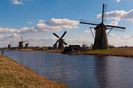 Kinderdijk Holland World Heritage van Brian Morgan thumbnail