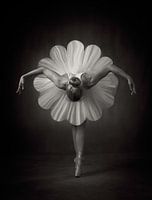 Floral Ballet