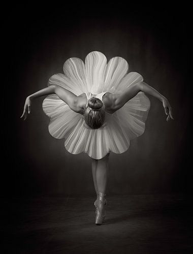 Ballet Bloemen van Catchlight Studio