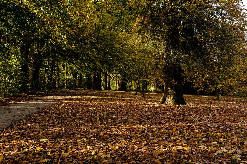 Herfst in Botanische tuin van Els Hattink