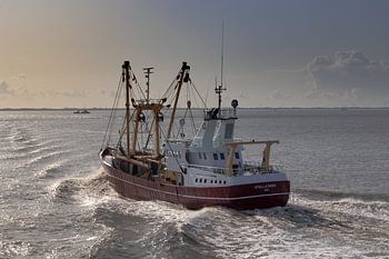 Viskotter op de Waddenzee
