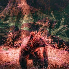 NoorderBeerLight by Truckpowerr
